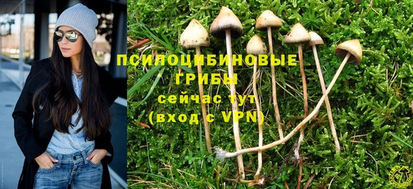 прущие крисы Алексеевка