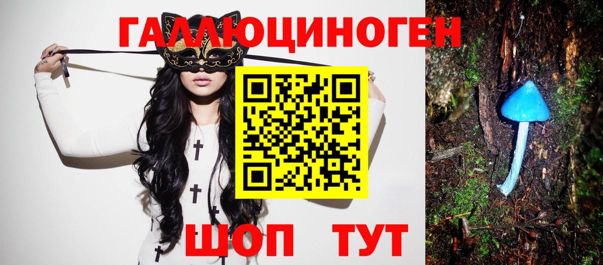 Галлюциногенные грибы прущие грибы Новочеркасск