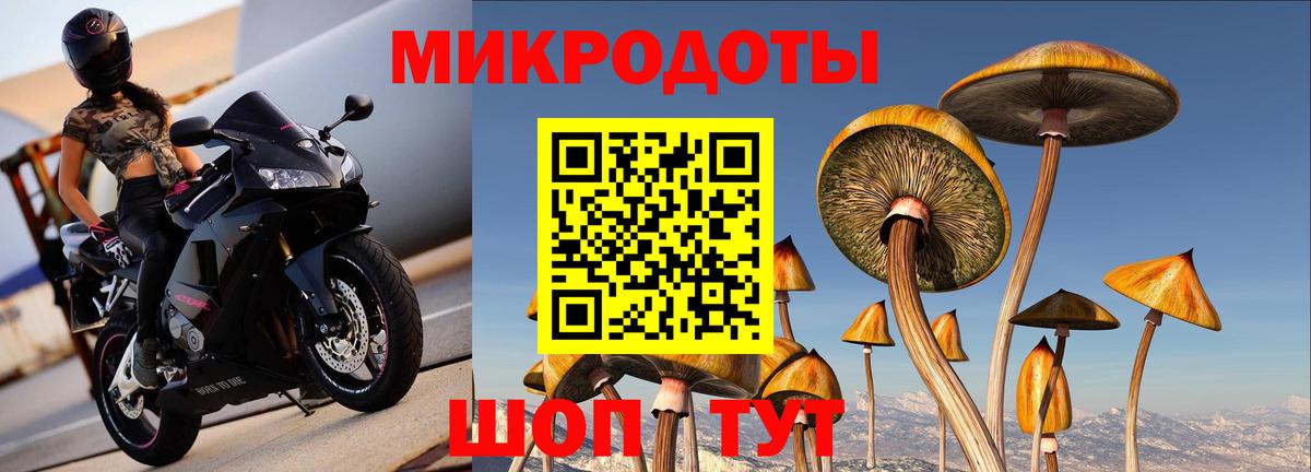Псилоцибиновые грибы Psilocybine cubensis  Псилоцибиновые грибы прущие грибы  Вход с VPN  Новочеркасск 