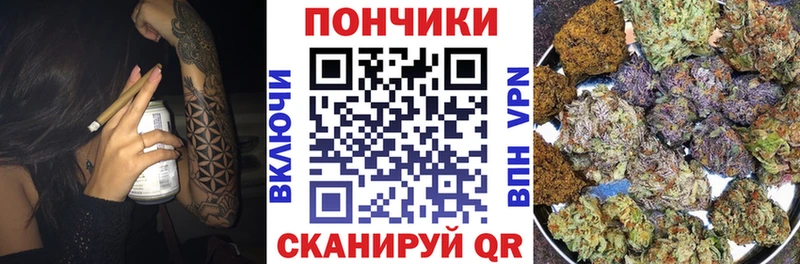 купить наркотики цена  Новочеркасск  Канабис планчик 